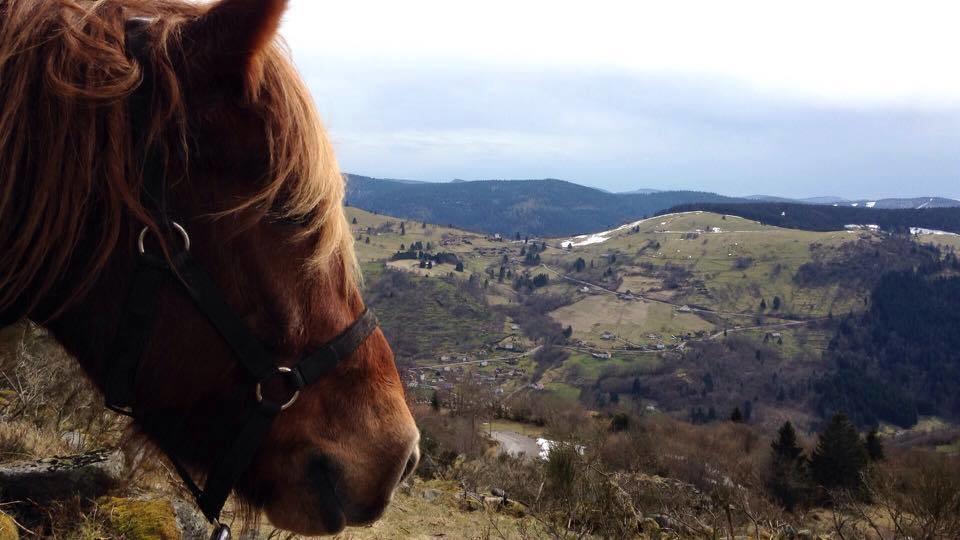 Equi'Val Villa Le Tholy Exteriör bild